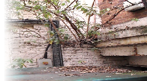 abp Party Wall Surveyors